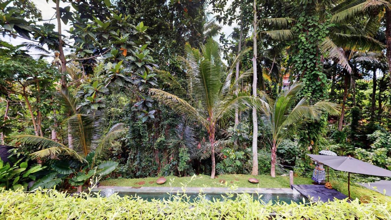 ホテルSix Cubes Ubud エクステリア 写真
